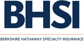 BHSI Logo -2024 Full color-01_new BHSI Logo -2024 Full color-01_new